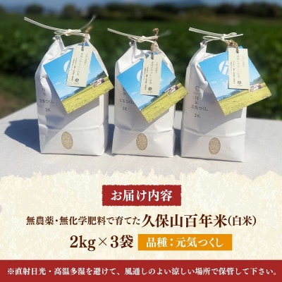 令和8年産　無農薬・無化学肥料で育てた久保山百年米 白米 6kg(2kg×3袋) 元気つくし