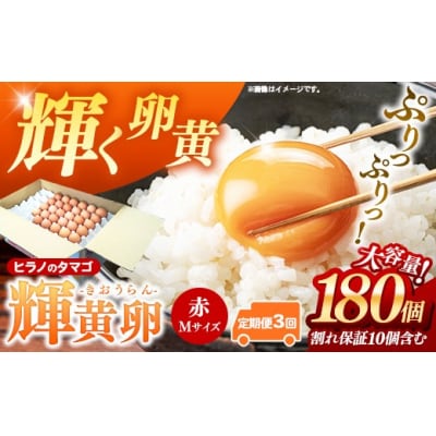 【定期便3回】ヒラノのタマゴ 輝黄卵(きおうらん) 赤Mサイズ 180個