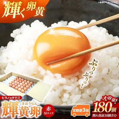 【定期便3回】ヒラノのタマゴ 輝黄卵(きおうらん) 赤Mサイズ 180個