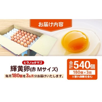 【定期便3回】ヒラノのタマゴ 輝黄卵(きおうらん) 赤Mサイズ 180個