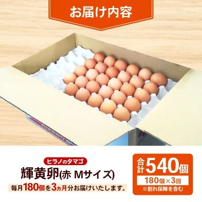 【定期便3回】ヒラノのタマゴ 輝黄卵(きおうらん) 赤Mサイズ 180個