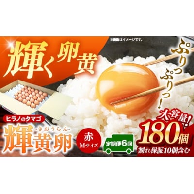 【定期便6回】ヒラノのタマゴ 輝黄卵(きおうらん) 赤Mサイズ 180個