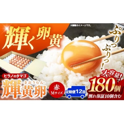 【定期便12回】ヒラノのタマゴ 輝黄卵(きおうらん) 赤Mサイズ 180個