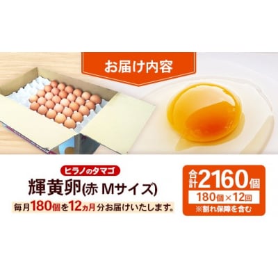 【定期便12回】ヒラノのタマゴ 輝黄卵(きおうらん) 赤Mサイズ 180個