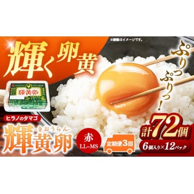 【定期便3回】ヒラノのタマゴ 輝黄卵(きおうらん)72個(6個入り×12パック)