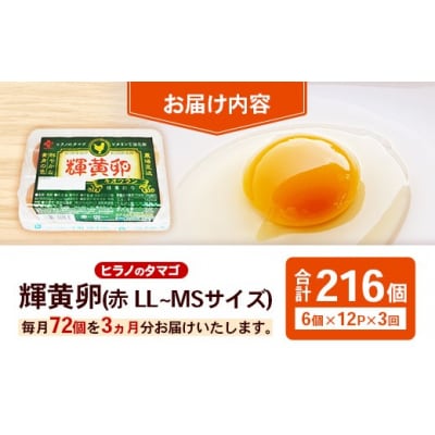 【定期便3回】ヒラノのタマゴ 輝黄卵(きおうらん)72個(6個入り×12パック)