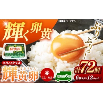 【定期便6回】ヒラノのタマゴ 輝黄卵(きおうらん)72個(6個入り×12パック)