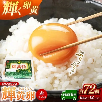 【定期便6回】ヒラノのタマゴ 輝黄卵(きおうらん)72個(6個入り×12パック)
