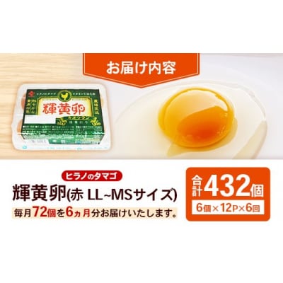 【定期便6回】ヒラノのタマゴ 輝黄卵(きおうらん)72個(6個入り×12パック)