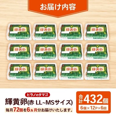 【定期便6回】ヒラノのタマゴ 輝黄卵(きおうらん)72個(6個入り×12パック)