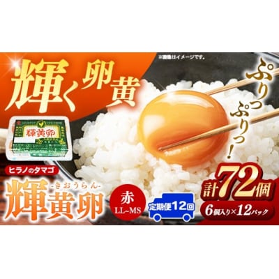 【定期便12回】ヒラノのタマゴ 輝黄卵(きおうらん)72個(6個入り×12パック)