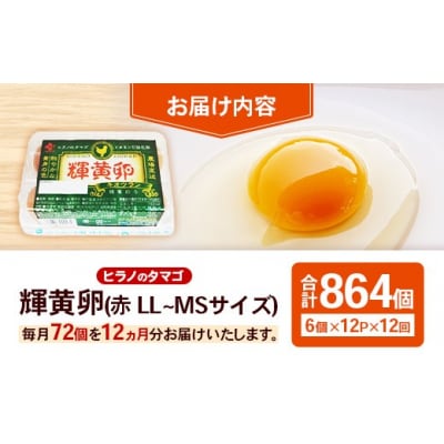 【定期便12回】ヒラノのタマゴ 輝黄卵(きおうらん)72個(6個入り×12パック)