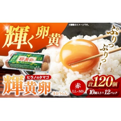 ヒラノのタマゴ 輝黄卵(きおうらん)120個(10個入り×12パック)