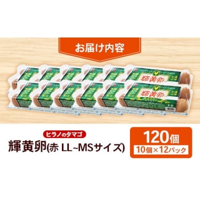 ヒラノのタマゴ 輝黄卵(きおうらん)120個(10個入り×12パック)