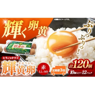 【定期便3回】ヒラノのタマゴ 輝黄卵(きおうらん)120個(10個入り×12パック)