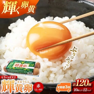 【定期便3回】ヒラノのタマゴ 輝黄卵(きおうらん)120個(10個入り×12パック)