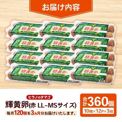 【定期便3回】ヒラノのタマゴ 輝黄卵(きおうらん)120個(10個入り×12パック)