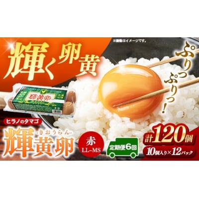 【定期便6回】ヒラノのタマゴ 輝黄卵(きおうらん)120個(10個入り×12パック)