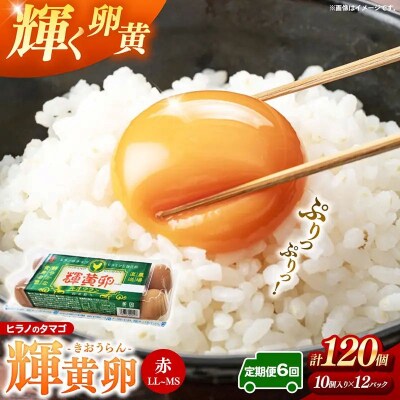【定期便6回】ヒラノのタマゴ 輝黄卵(きおうらん)120個(10個入り×12パック)