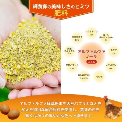 【定期便6回】ヒラノのタマゴ 輝黄卵(きおうらん)120個(10個入り×12パック)