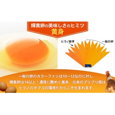 【定期便6回】ヒラノのタマゴ 輝黄卵(きおうらん)120個(10個入り×12パック)