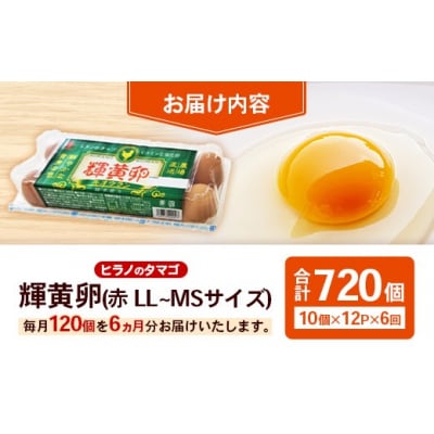 【定期便6回】ヒラノのタマゴ 輝黄卵(きおうらん)120個(10個入り×12パック)