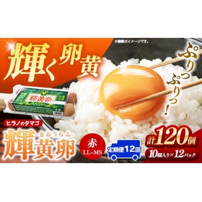 【定期便12回】ヒラノのタマゴ 輝黄卵(きおうらん)120個(10個入り×12パック)