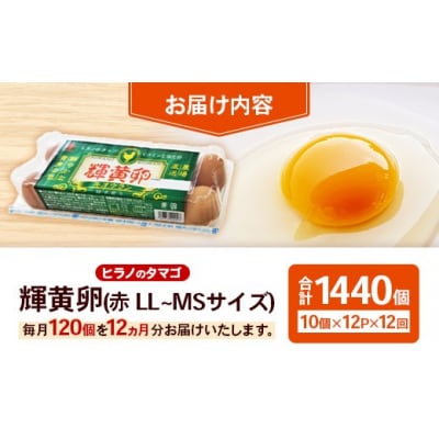 【定期便12回】ヒラノのタマゴ 輝黄卵(きおうらん)120個(10個入り×12パック)