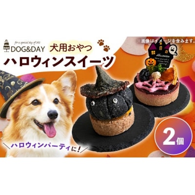 ハロウィンスイーツ 2個セット 犬用ケーキ