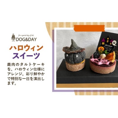 ハロウィンスイーツ 2個セット 犬用ケーキ