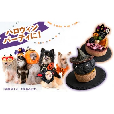 ハロウィンスイーツ 2個セット 犬用ケーキ
