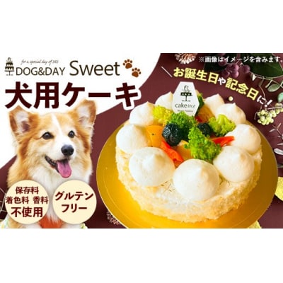 DOG&DAY Sweet 犬用ケーキ