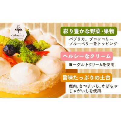 DOG&DAY Sweet 犬用ケーキ