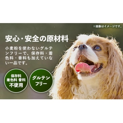 DOG&DAY Sweet 犬用ケーキ
