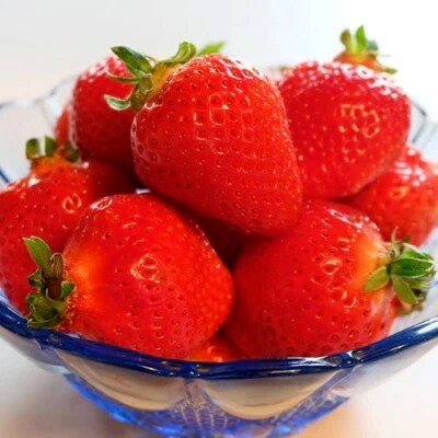 福岡県産 あまおう 4パック (約250g×4パック)