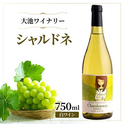 【樽発酵の奥深い味わい】大池ワイン シャルドネ 白ワイン 750ml