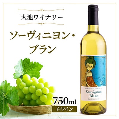 【爽やかな香りと酸味】大池ワイン ソーヴィニヨン・ブラン 白ワイン 750ml