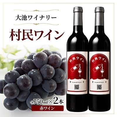 【冷やして飲むのがおススメ】大池ワイン 村民ワイン(赤ワイン) 750ml 2本セット