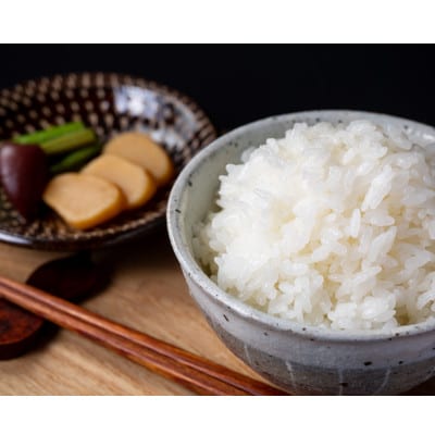 【粘りと甘みを味わう】令和7年産 長野県山形村産 コシヒカリ 精米10kg