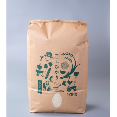 【毎月定期便】長野県山形村産 コシヒカリ 精米10kg全3回