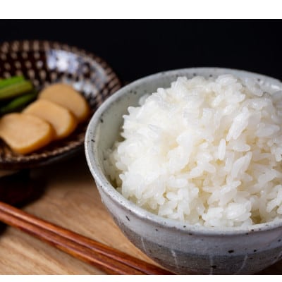 【毎月定期便】長野県山形村産 コシヒカリ 精米10kg全3回
