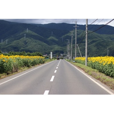 長野県山形村産 すいか「サマーオレンジ」 1玉(9kg前後)