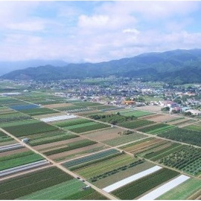 山形村産 金色羅皇 1玉(6kg以上)