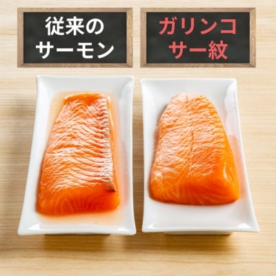 ガリンコサー紋