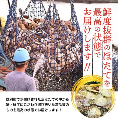 北海道紋別産 活ホタテ2kg(Lサイズ)