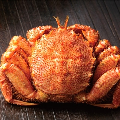 ボイル毛がに(約440g～570g)×1尾