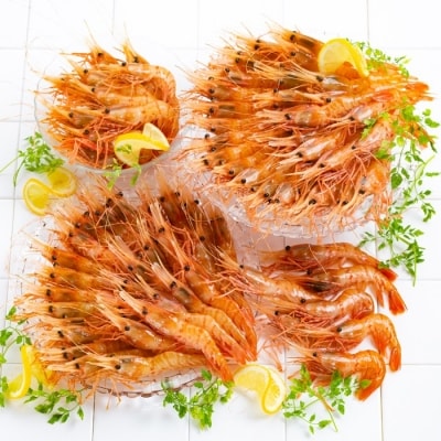 どどーんと2kgぼたんえびセット