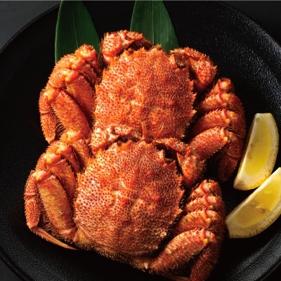 ボイル毛がに(約440g～570g)×2尾