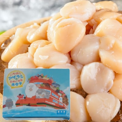 いちばんアザラシのためになるホタテ