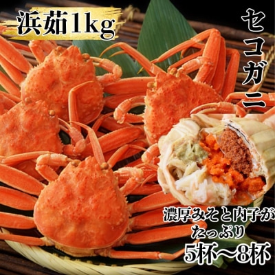 ボイルセコガニ1kg| セイコ蟹 ズワイガニメス 子持ち